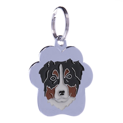 Picture of TAG  RAINBOW AUSTRALIAN SHEPHED